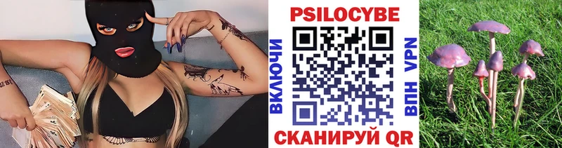 Псилоцибиновые грибы мухоморы  дарнет шоп  Печоры 